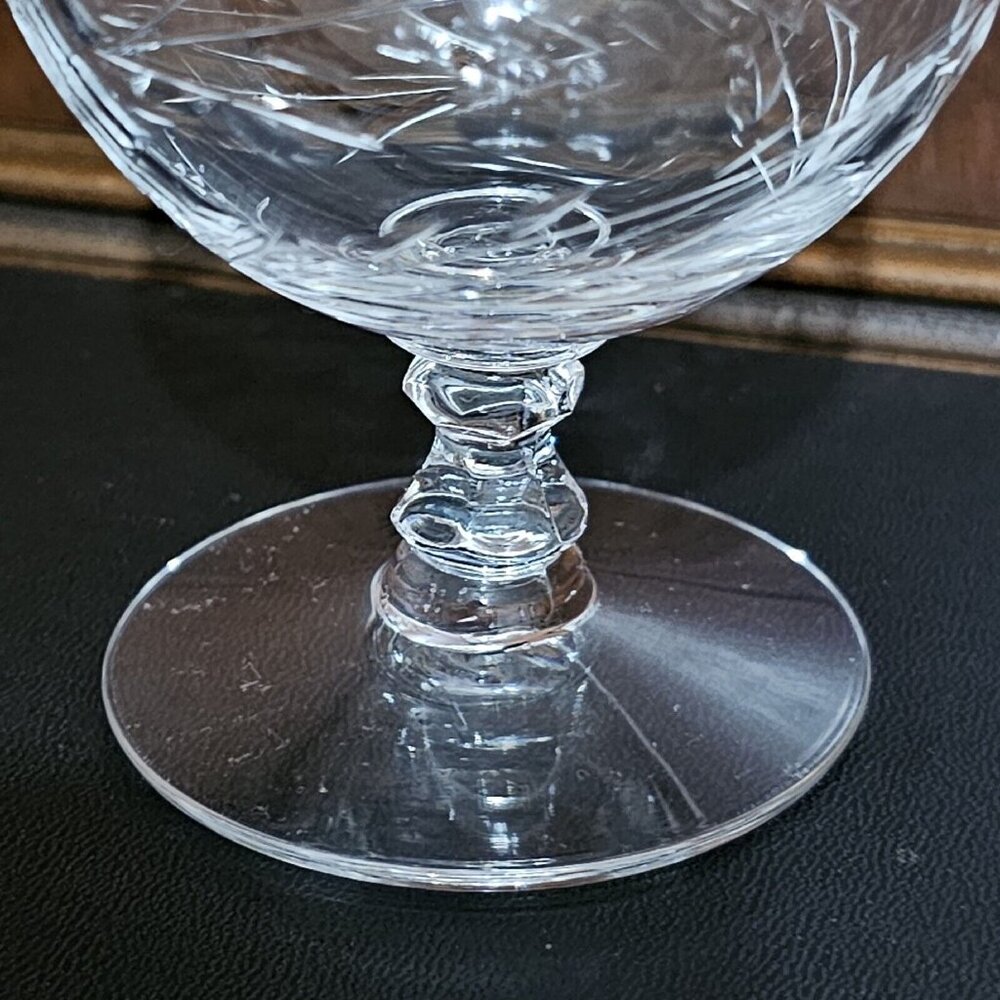 Cambridge Montrose Champagne Sherbet Glass stemware 3" short stem 4oz botanicals - Picture 4 of 12